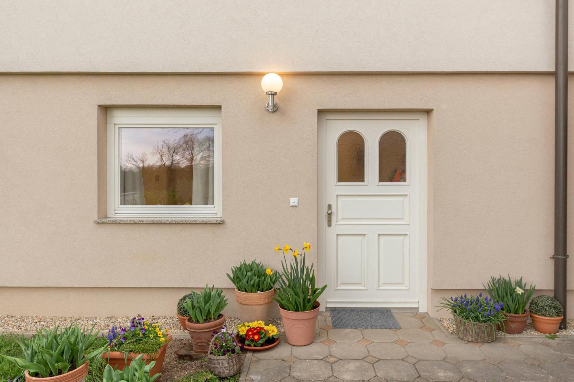 Cozy Garden Flat *